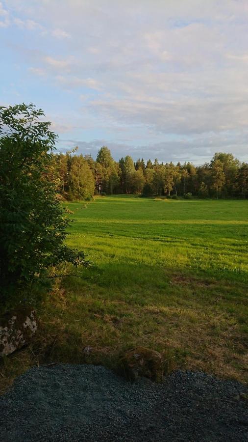 Liten Enklare Klimatsmart Stuga I Roslagen Эстаммар Экстерьер фото